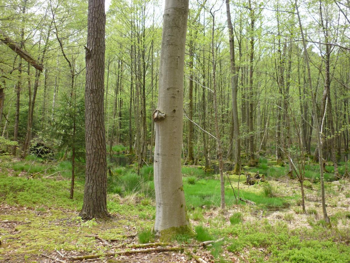 Haus Am Sandsteinbruch Zaberfeld Luaran gambar