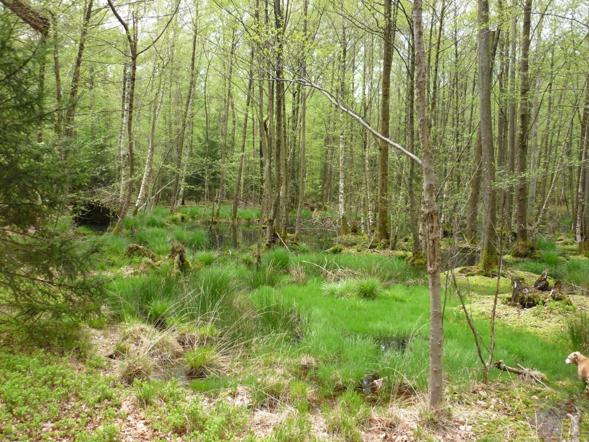 Haus Am Sandsteinbruch Zaberfeld Luaran gambar