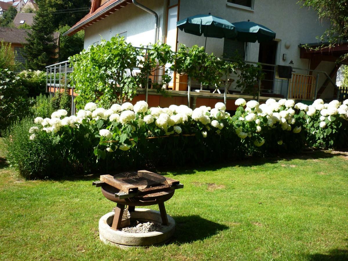 Haus Am Sandsteinbruch Zaberfeld Luaran gambar
